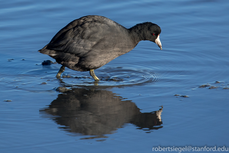 baylands